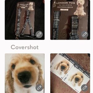 London fog harness/leash🐶set small+2 NOC🚗Decals🐾